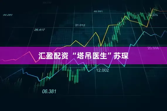 汇盈配资 “塔吊医生”苏琛