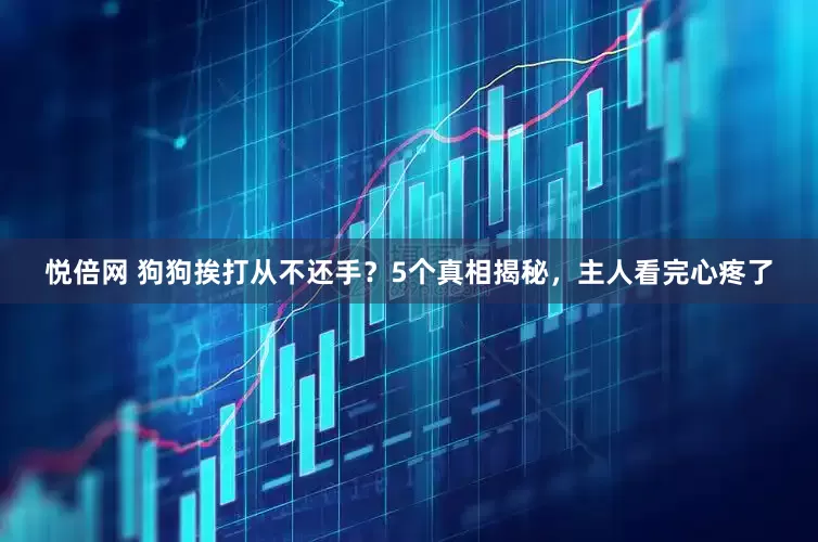 悦倍网 狗狗挨打从不还手？5个真相揭秘，主人看完心疼了