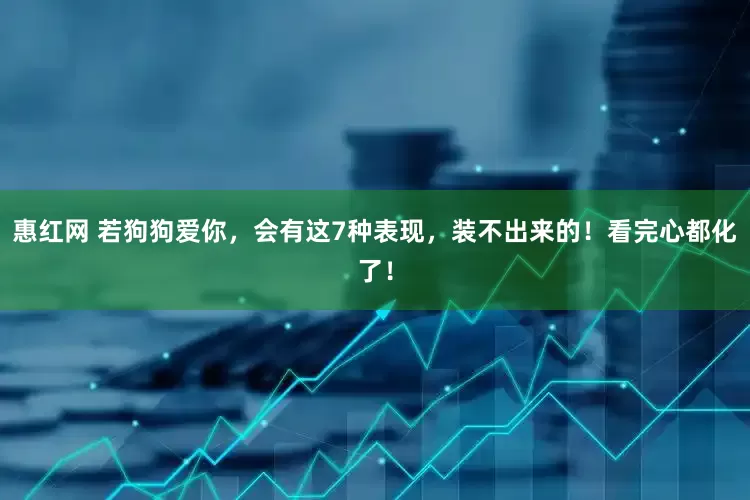 惠红网 若狗狗爱你，会有这7种表现，装不出来的！看完心都化了！