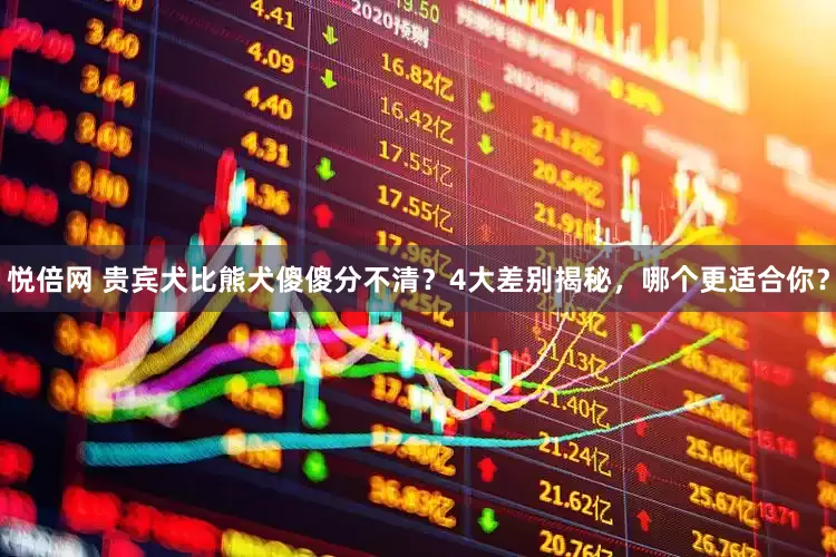 悦倍网 贵宾犬比熊犬傻傻分不清？4大差别揭秘，哪个更适合你？